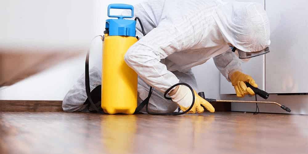 Top-Rated Pest Control in Lahore | Expert Solutions & Reliable Service 0