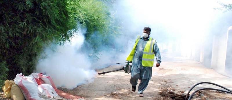 Top-Rated Pest Control in Lahore | Expert Solutions & Reliable Service 1