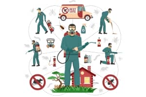 Top-Rated Pest Control in Lahore | Expert Solutions & Reliable Service 4