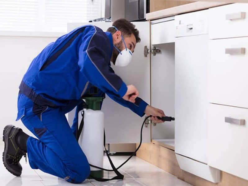 Top-Rated Pest Control in Lahore | Expert Solutions & Reliable Service 10