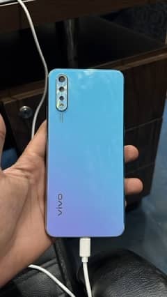 vivo