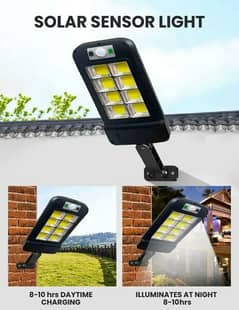 solar light with motion sensor