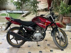 YAMAHA YBR 125g 22 model 0