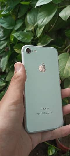 iphone 7