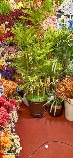 indoor Artificial plants, Planters , Lamps ,Delivery Available