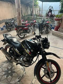 Yamaha YBR G 125CC Scratch Less