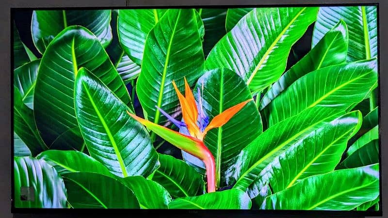 Haier new 55 inch google tv 4k 4