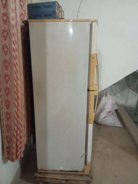 Pell fridge for sale 1