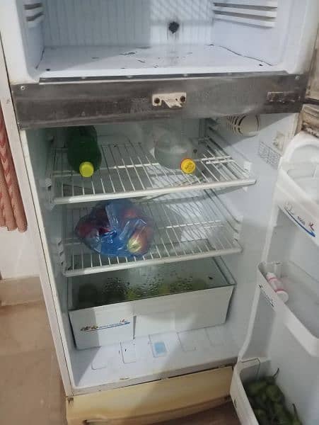 Pell fridge for sale 2