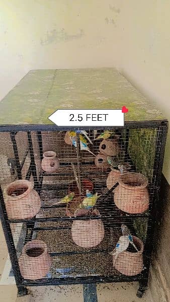 cage for sale 1