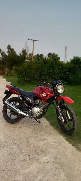 Yamaha YBR 125G 2024 1