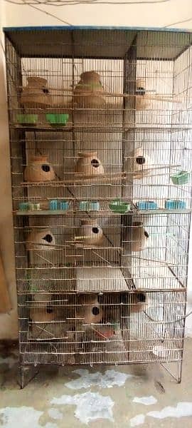 Bird cage 0