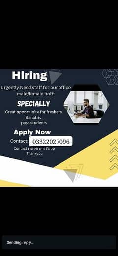 we are hiring male and female