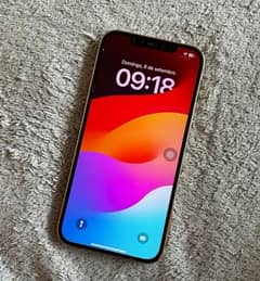 iPhone 12 Pro 5G Full ok Face Id Ture Tone Ok LLA Model Ok sim work 4G