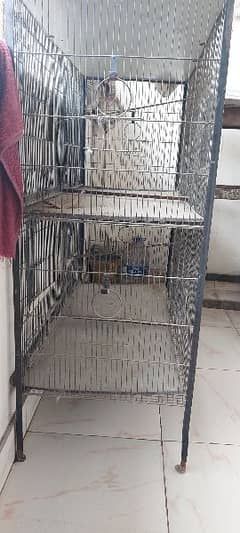 Cage 2 Floor