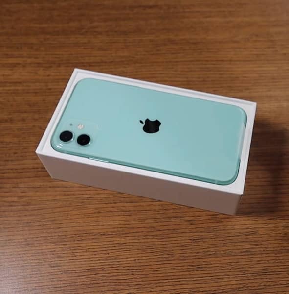 iPhone 11 Green Capacity 256GB Water Pack Complete Box 3