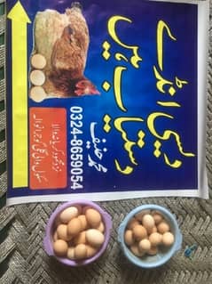 Desi Eggs