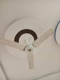 Ceiling Fans of Pak Fans