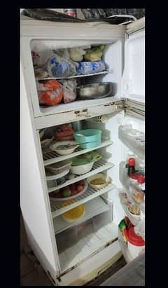 Pel refrigerator fridge