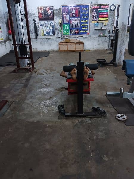 complete gym for sale 13