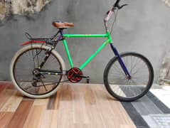 Wonderfull wheally bicycle tatal proginal