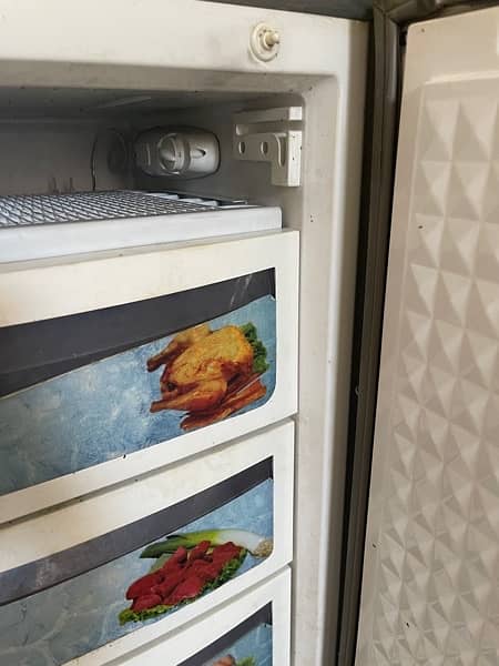 dawlance vertical freezer 1