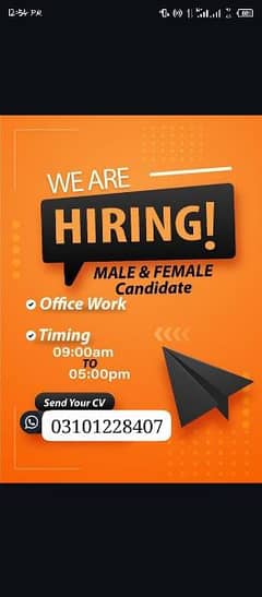 We are hiring male and female candidate