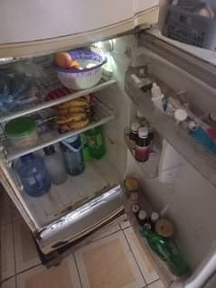 PEL REFRIGERATER