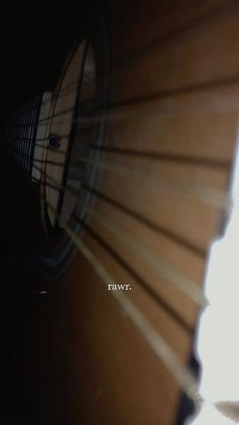 Sami-acoustic Guitar (Wolf WSG-20/NS) 5