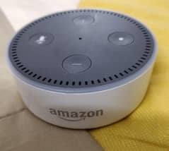 Amazon echo dot speaker