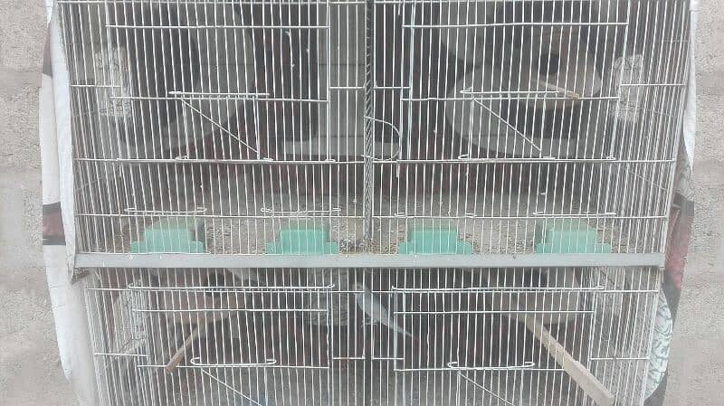 cage for sale 1