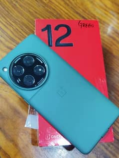 OnePlus 12 16/256