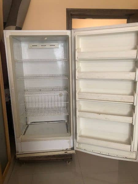 American freezer 1