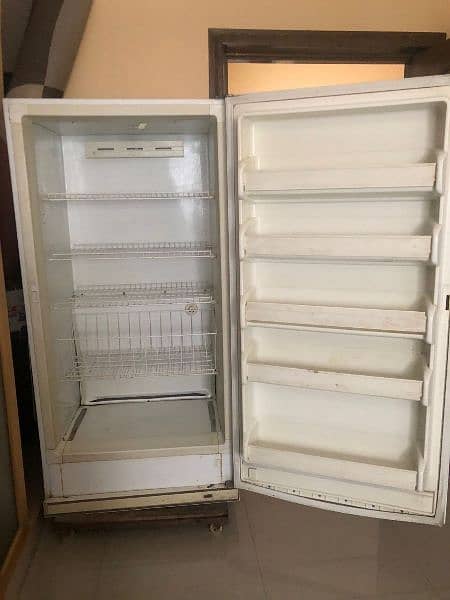 American freezer 2