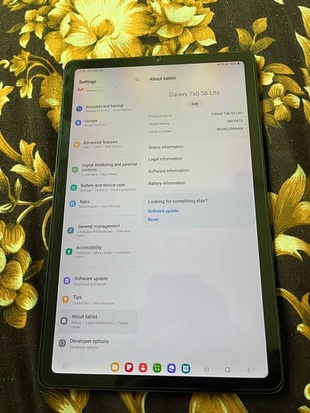 Galaxy Tab S6 Lite 2