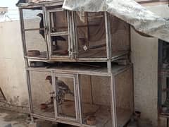 wooden cages for sale