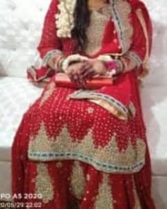 bridal sharara