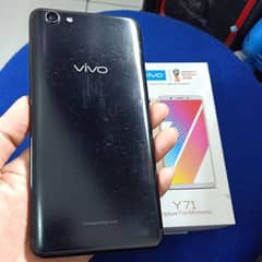 vivo