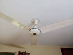 used fan