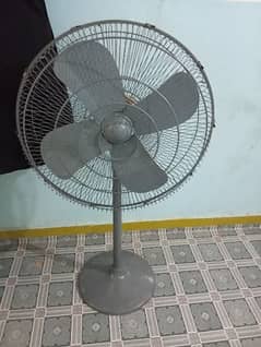 PAK FAN STAND FAN