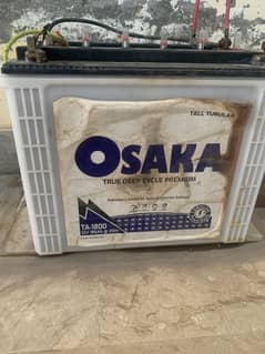 Osaka Tall Tubular Batteries for Sale