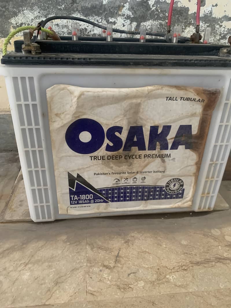 Osaka Tall Tubular Batteries for Sale 0