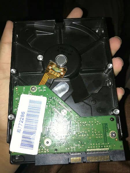 hard disk 250gb for sale 1