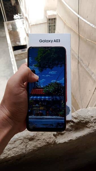 Samsung A03 || 4/64 || With Box || Used Mobile || Only Cash 1