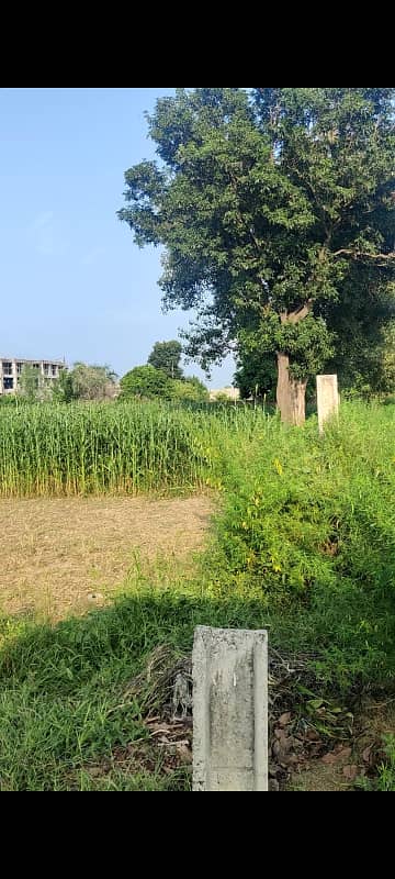 corner farmhouse land for sale on hot location of bedian road next to DHA phase 7 0