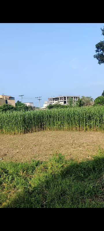 corner farmhouse land for sale on hot location of bedian road next to DHA phase 7 1