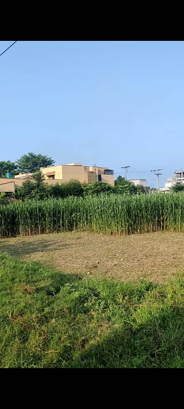 corner farmhouse land for sale on hot location of bedian road next to DHA phase 7 5