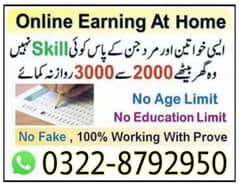 Online job at Home/Part Time/Data Entry/Typing/Assignments/Teaching 0