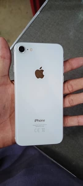 iPhone    8 (64) gb only fringe kam ni kr thi  not pta 1