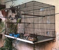 Folding cage and wooden cage for sale 0